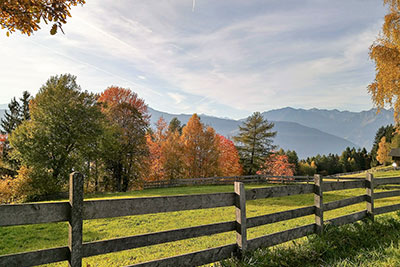 Herbst in Mölten