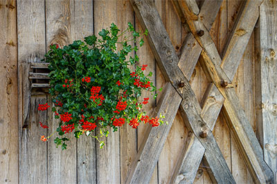 Sommer in Mölten